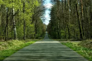 Danove Priznani Fyzicka Osoba